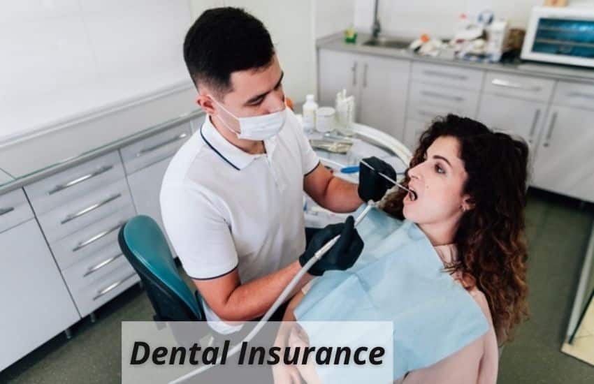 dental insurance